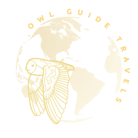 Owl Guide II Logo Transparent