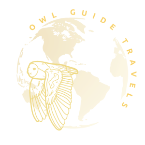 Owl Guide II Logo Transparent