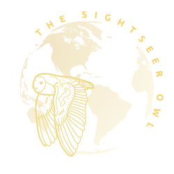 Sightseer Owl II Logo Transparent